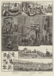 Scener i Victoria, Australien